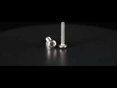 Cross Recessed  Stainless Steel Pan Head Machine Screws Self Tapping DIN 7981